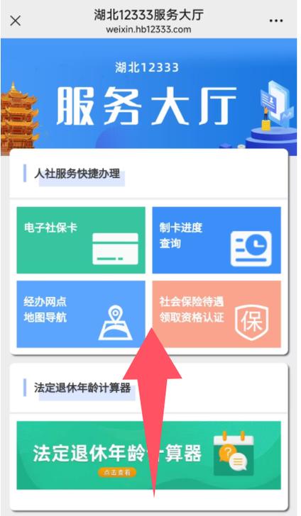 湖北智慧人社养老认证