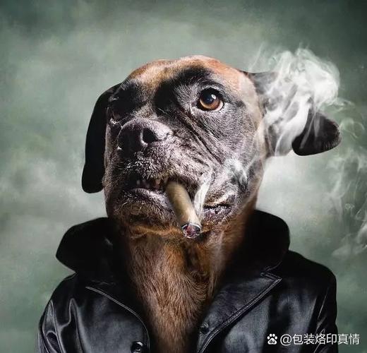 抽烟的动物