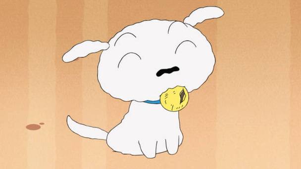 小白用日语怎么说