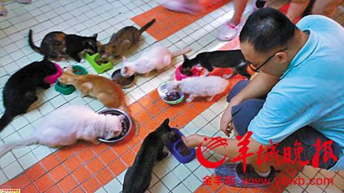 猫狗救助中心24小时热线