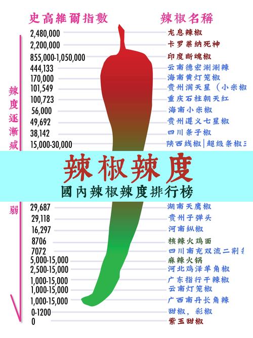 橪韭血肉维度