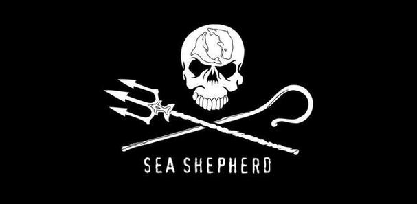 海洋守护者保护协会游戏截图