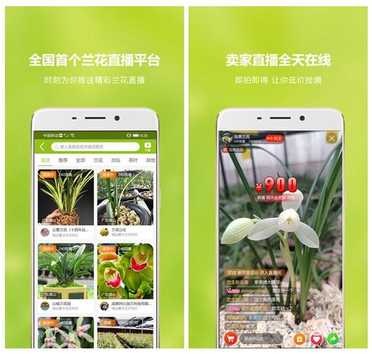 团购的兰花APP吗