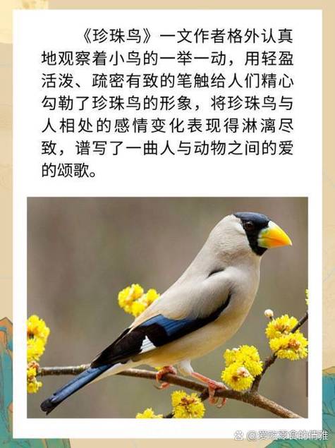 鸟的哲理短句大全