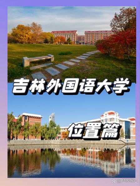 razorback是哪个大学