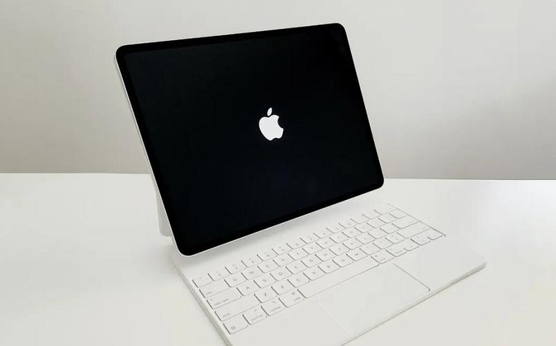 ipad开机白苹果怎么办