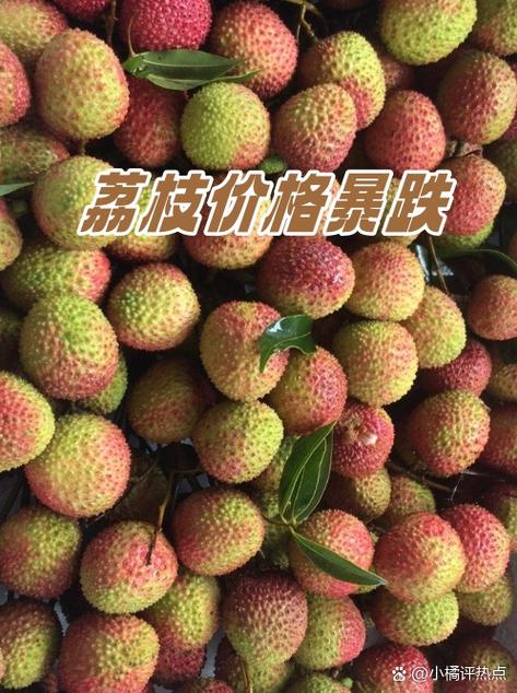 荔枝多少钱一斤正常图标