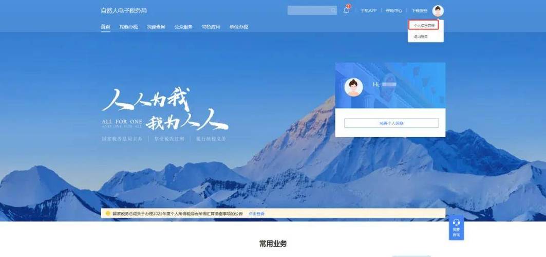 什么是自然人电子税务局web端游戏截图