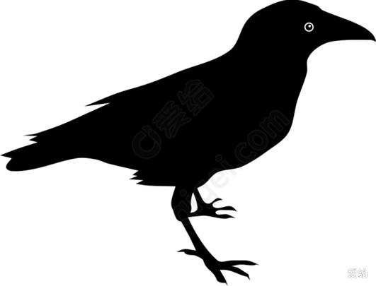 乌鸦是raven还是crow