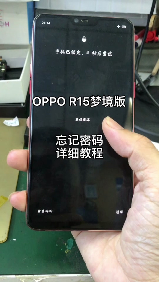 r15梦境版怎么区分