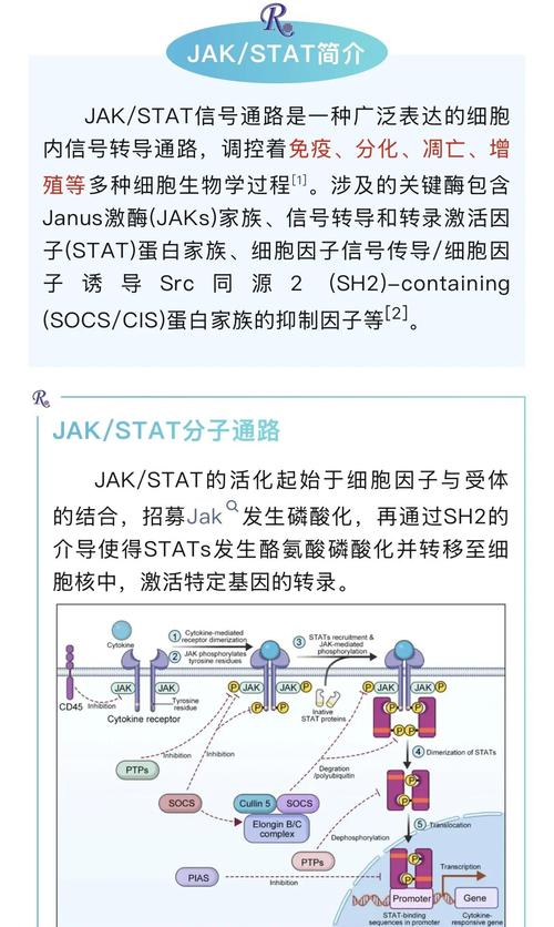 JAAP影响因子