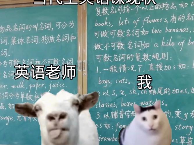 课堂活动用英语怎么说