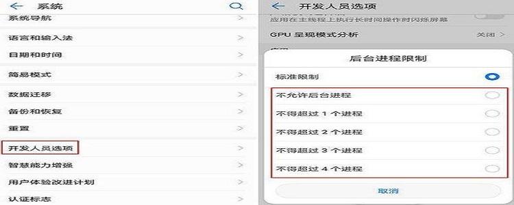 网络天才加载不进去