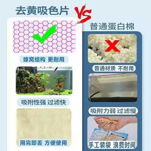 鱼缸有腥味怎么去除