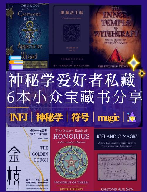 神秘宝藏在线阅读