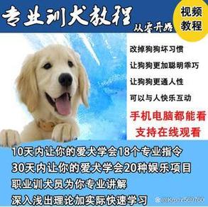 训狗教程免费下载