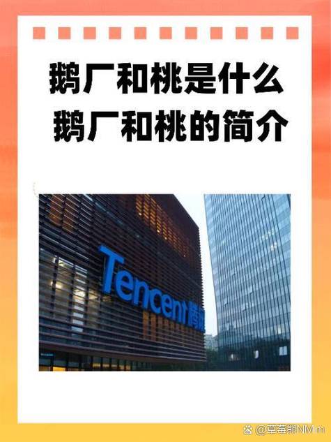企鹅老板个人简历缩略图