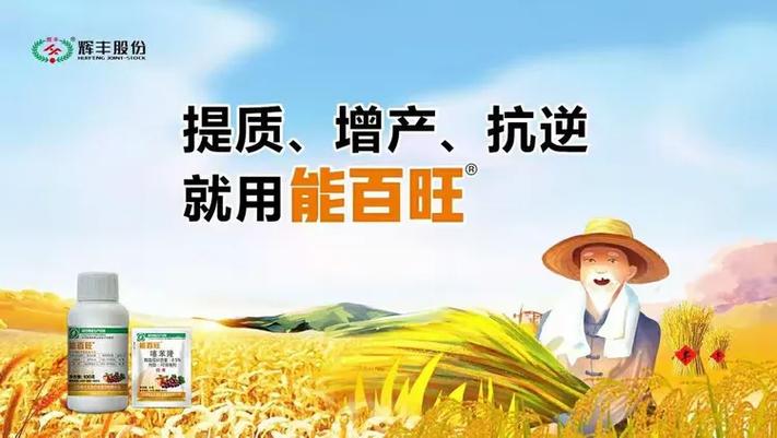 能百旺系列产品介绍