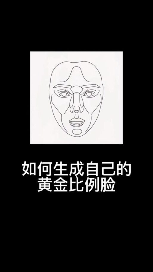 完美脸型比例