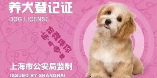 上海办理狗证太难了
