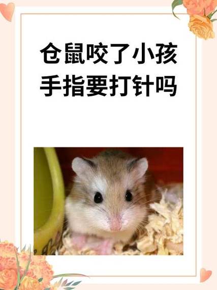 被仓鼠咬了要打针吗