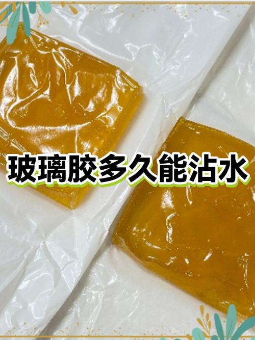 玻璃胶多久能沾水