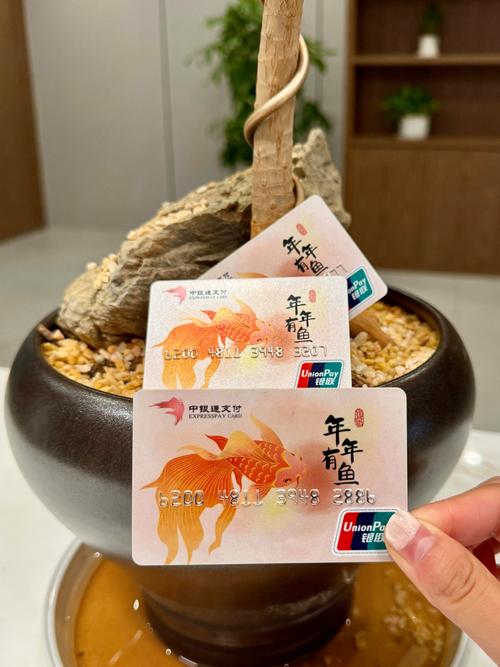 支付宝商家可以收信用卡的钱吗