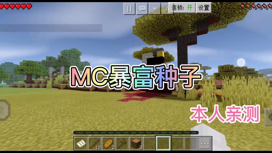 我的世界暴富神级种子网易版