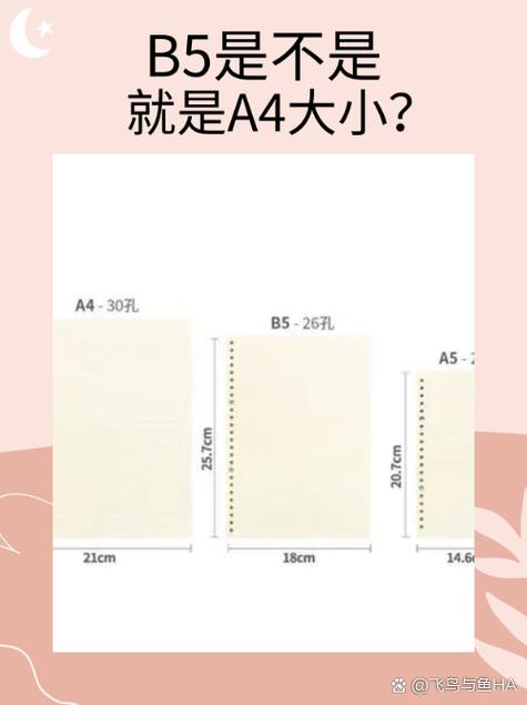 b5纸