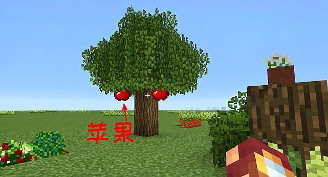 mc什么树有苹果