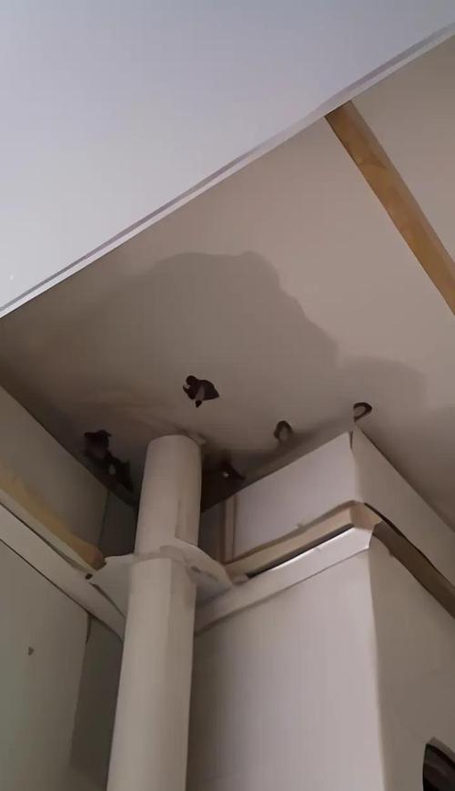 房屋漏水怎么修补