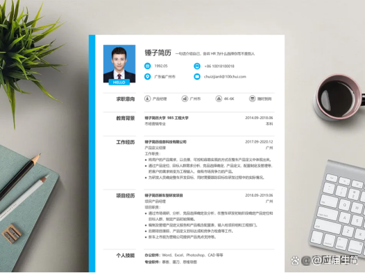 100字简短个人简历游戏截图