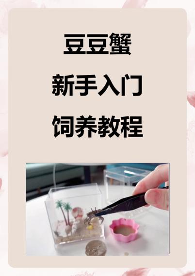 怎么让豆豆快乐