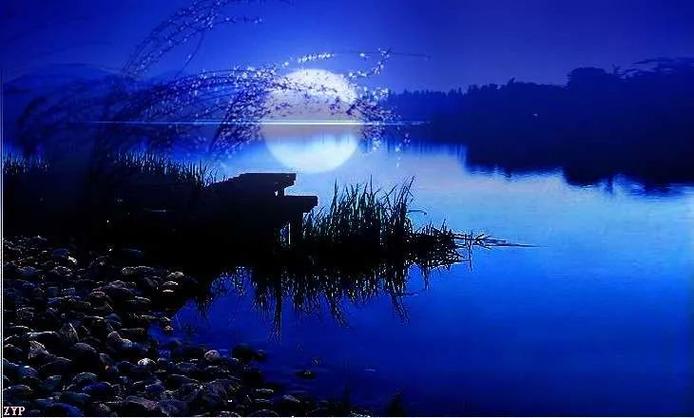 弦月夜下载