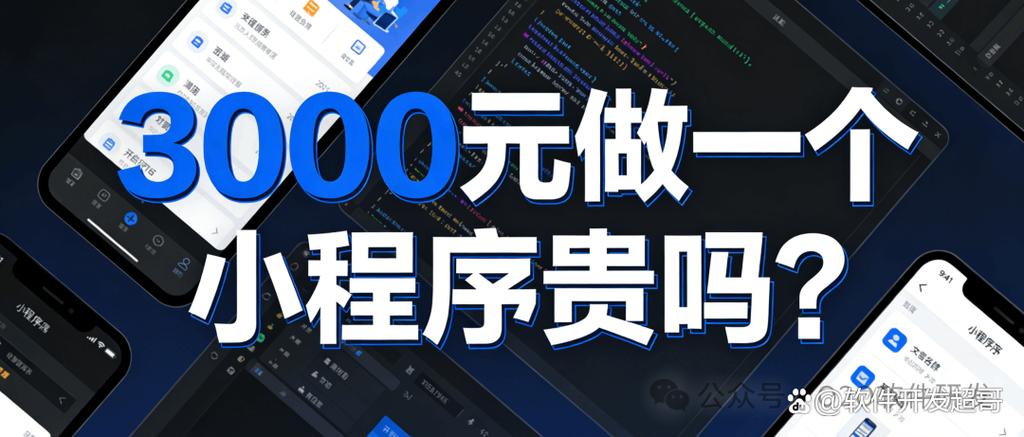 3000元做一个小程序贵吗