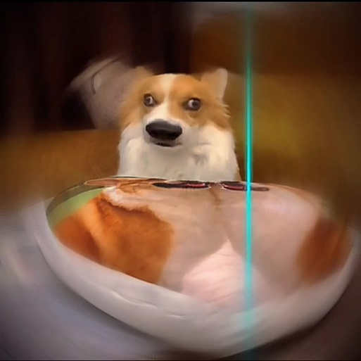 线狗图片大全大图