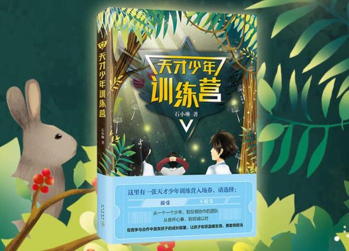 小说《天才训练营》