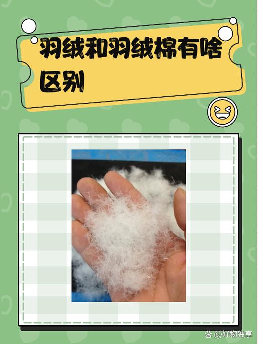katun和cotton有啥区别