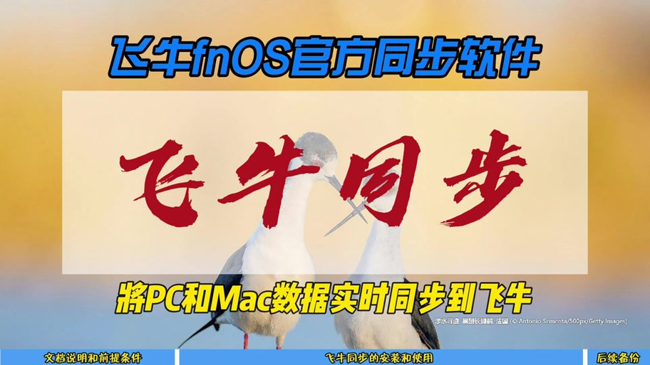 实时活动什么意思