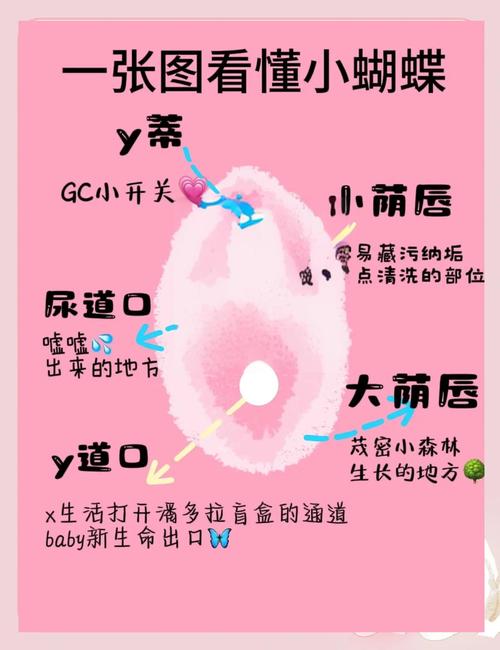 隐私设置是什么意思