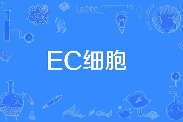 ec医学是什么意思
