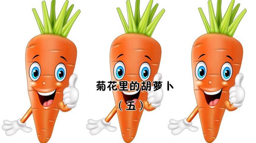 菊花里的萝卜广播剧