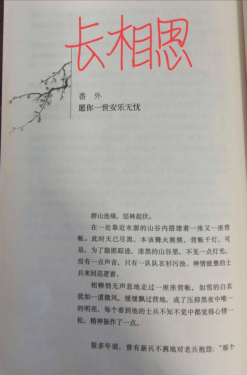 奈何boss又如何原著