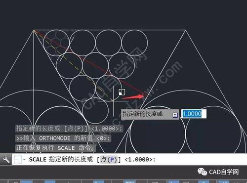 cad无法缩放