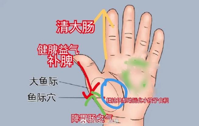 儿童补脾胃最好最快的方法