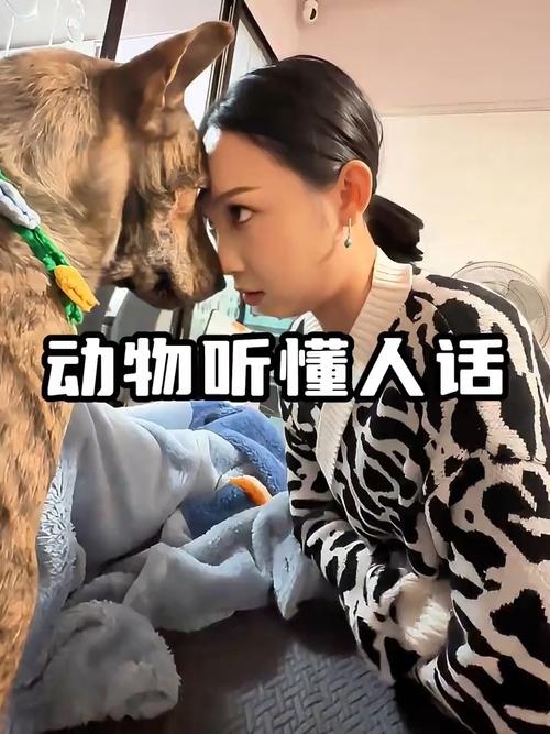 听懂毛茸茸挖宝主播变破案专家