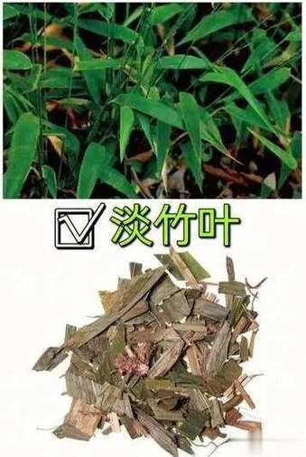 淡竹叶治痛风吗游戏截图