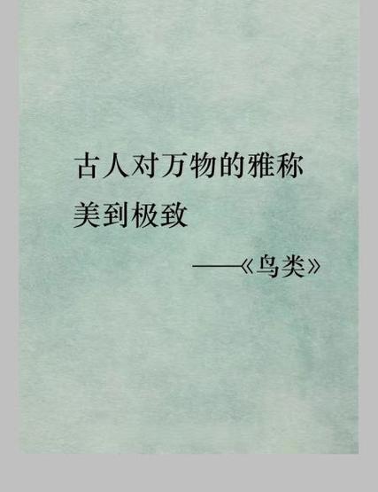 玄学里鸭代表什么