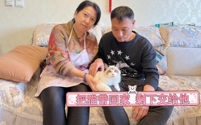 父母养猫真香图标