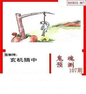 天庚图3d正版天庚图